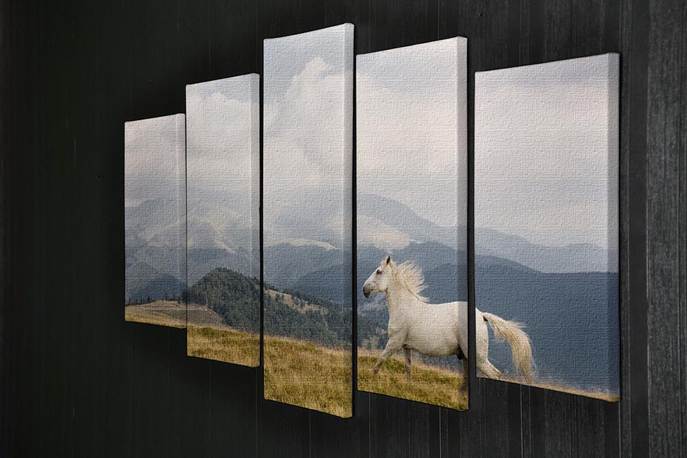 White horse 5 Split Panel Canvas - Canvas Art Rocks - 2