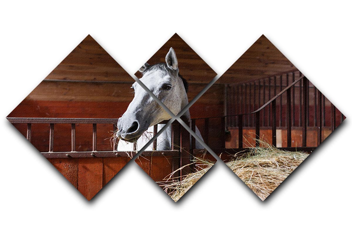 White horse eating hay in the stable 4 Square Multi Panel Canvas - Canvas Art Rocks - 1