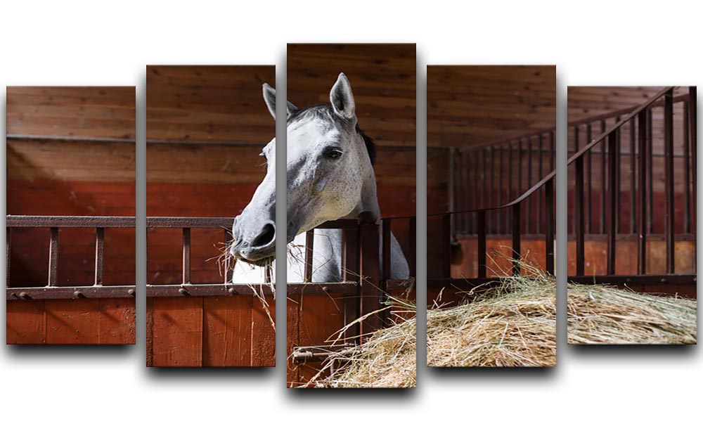 White horse eating hay in the stable 5 Split Panel Canvas - Canvas Art Rocks - 1