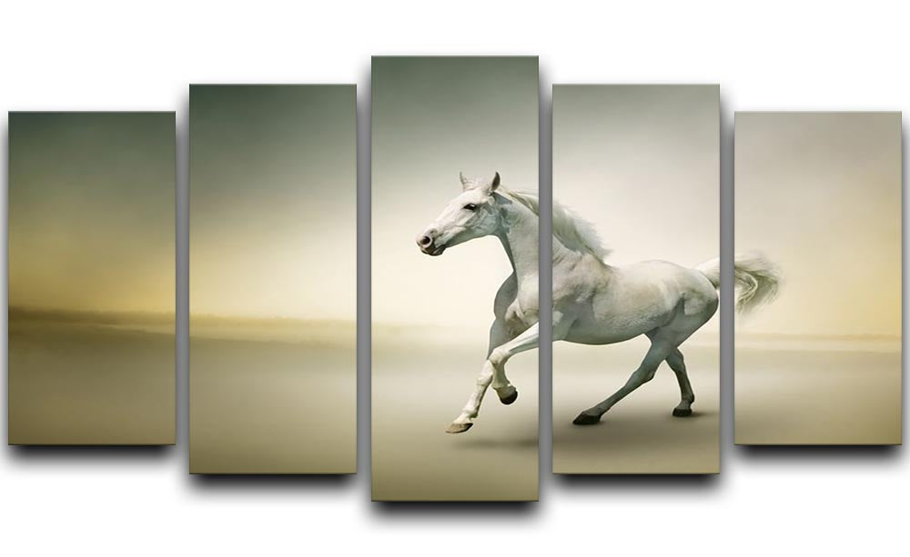 White horse in motion 5 Split Panel Canvas - Canvas Art Rocks - 1