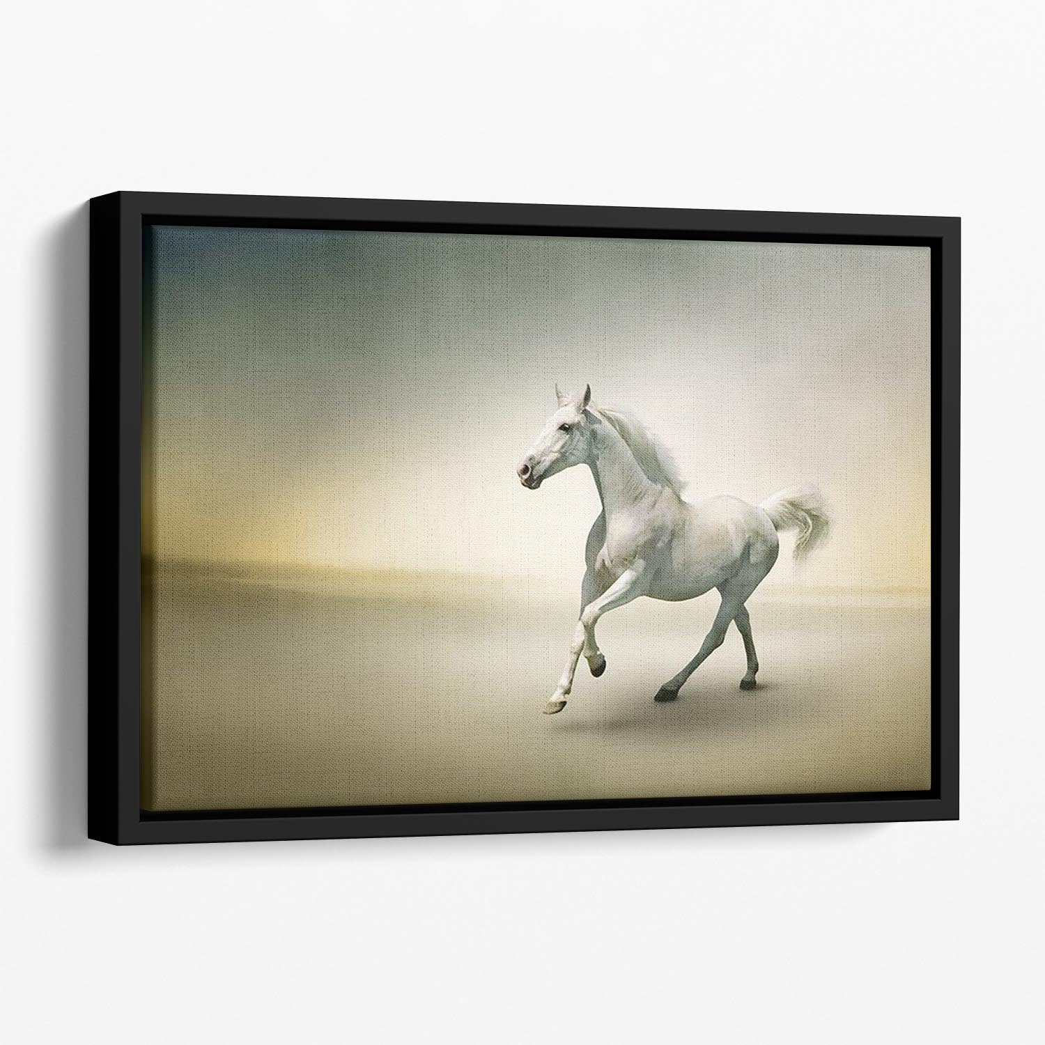 White horse in motion Floating Framed Canvas - Canvas Art Rocks - 1
