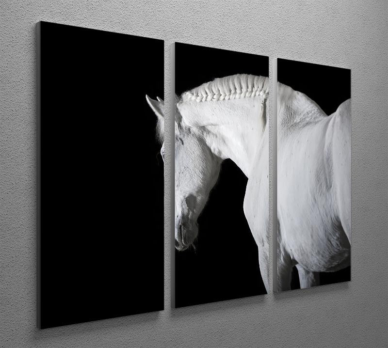White horse on the black background 3 Split Panel Canvas Print - Canvas Art Rocks - 2