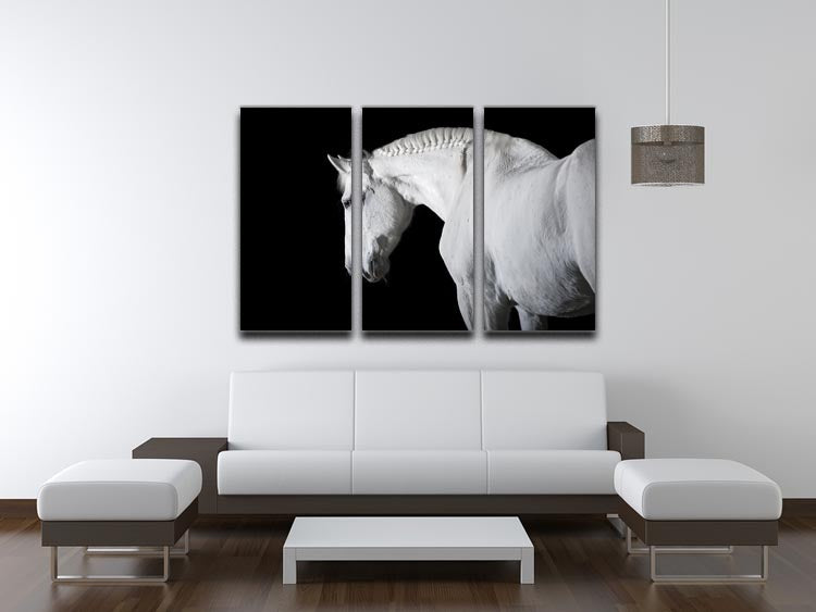 White horse on the black background 3 Split Panel Canvas Print - Canvas Art Rocks - 3