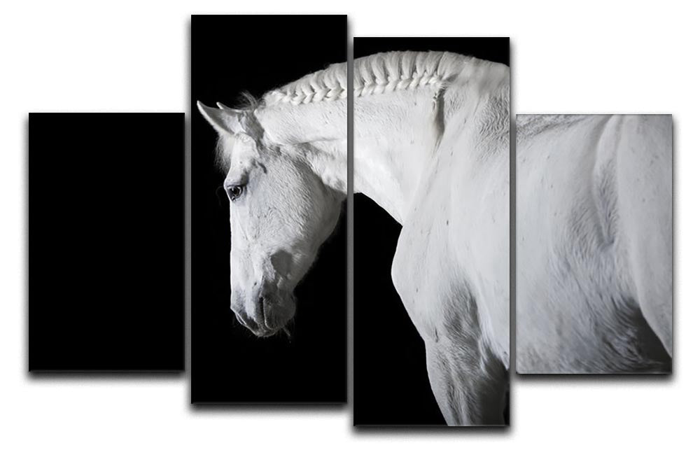 White horse on the black background 4 Split Panel Canvas - Canvas Art Rocks - 1