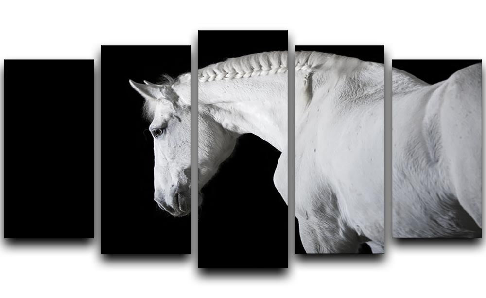 White horse on the black background 5 Split Panel Canvas - Canvas Art Rocks - 1
