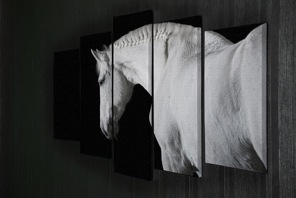 White horse on the black background 5 Split Panel Canvas - Canvas Art Rocks - 2