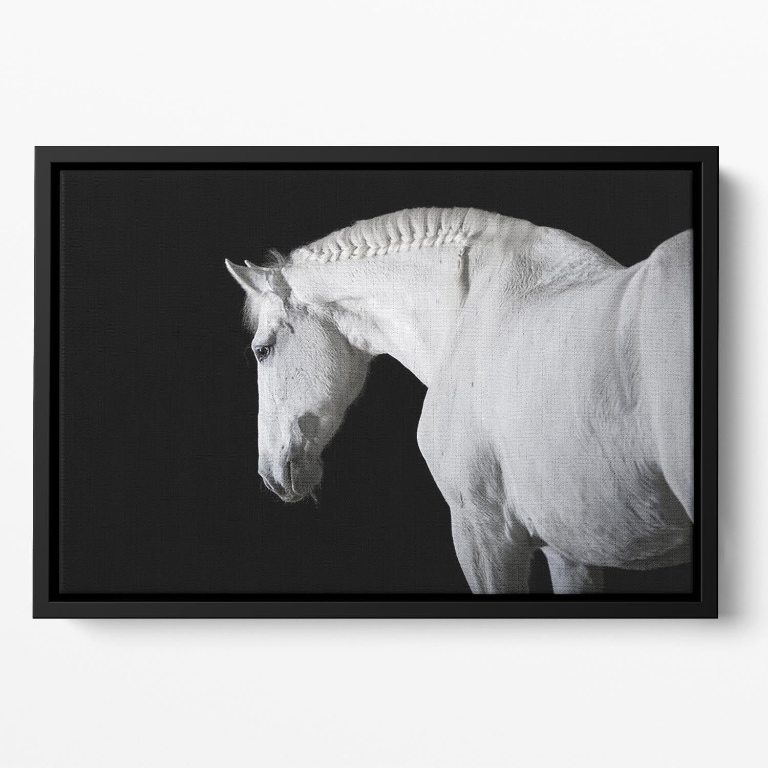 White horse on the black background Floating Framed Canvas - Canvas Art Rocks - 2