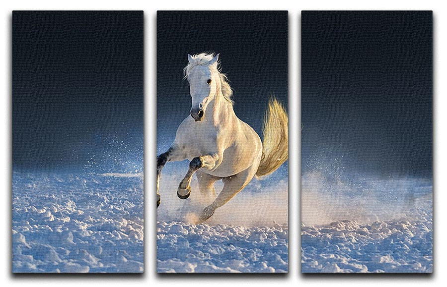 White horse run in snow at sunset 3 Split Panel Canvas Print - Canvas Art Rocks - 1