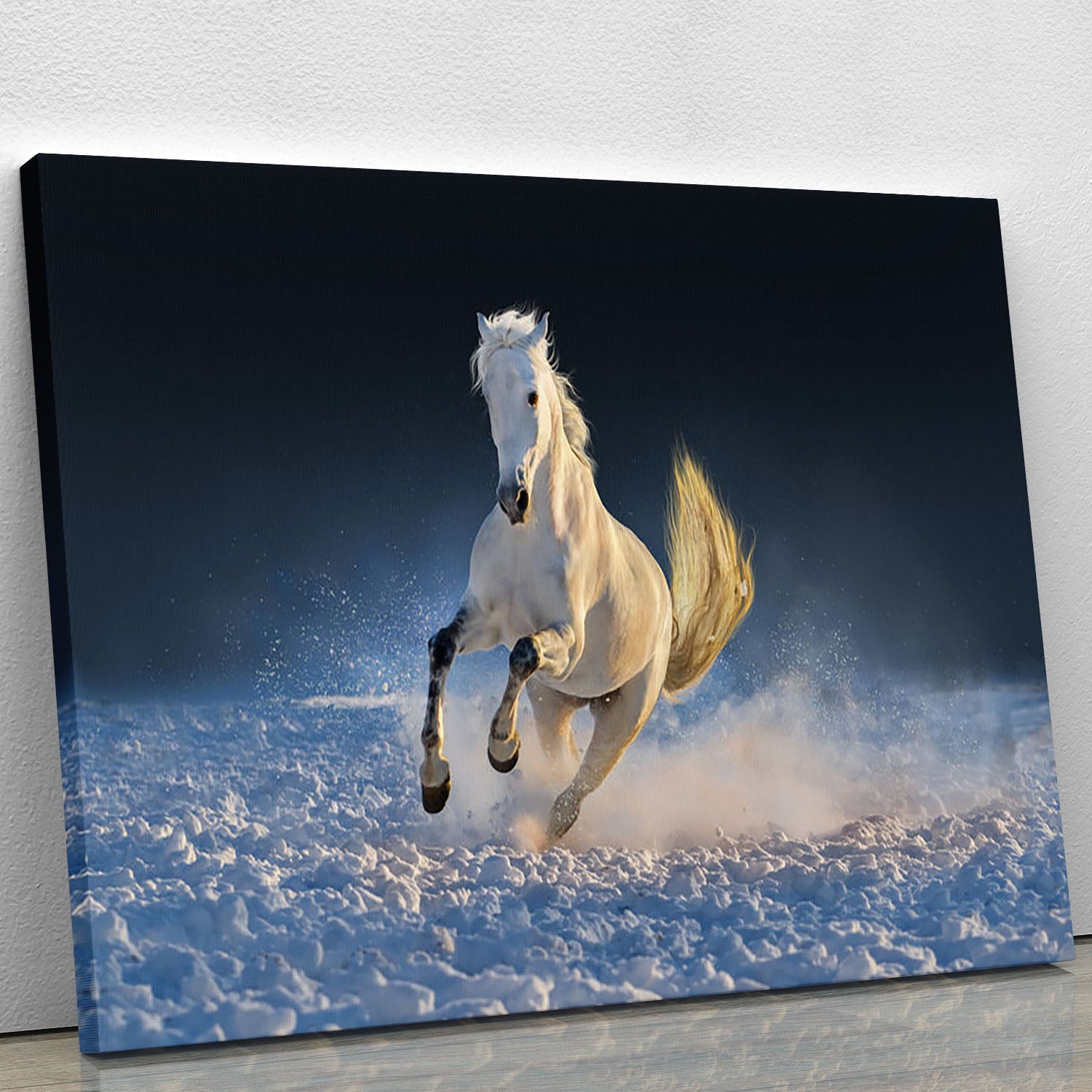White horse run in snow at sunset Canvas Print or Poster - Canvas Art Rocks - 1
