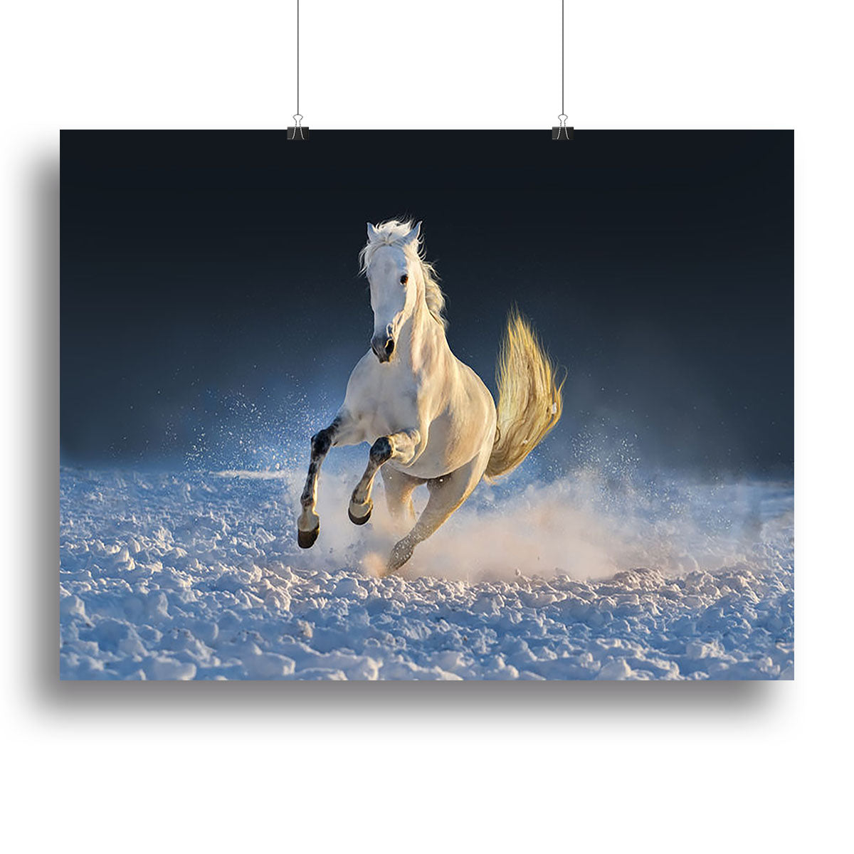 White horse run in snow at sunset Canvas Print or Poster - Canvas Art Rocks - 2