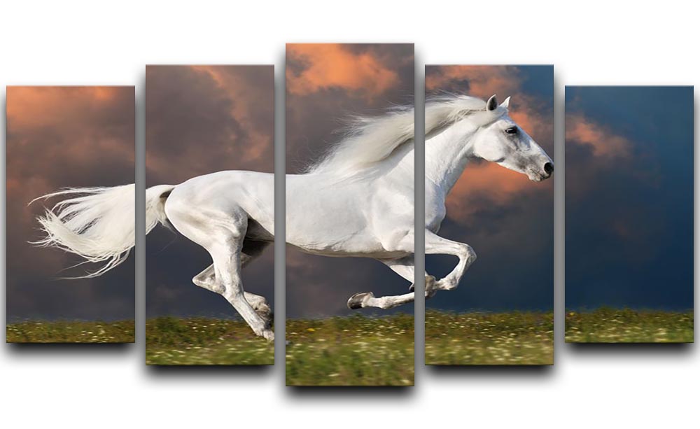 White horse runs gallop on the dark sky 5 Split Panel Canvas - Canvas Art Rocks - 1