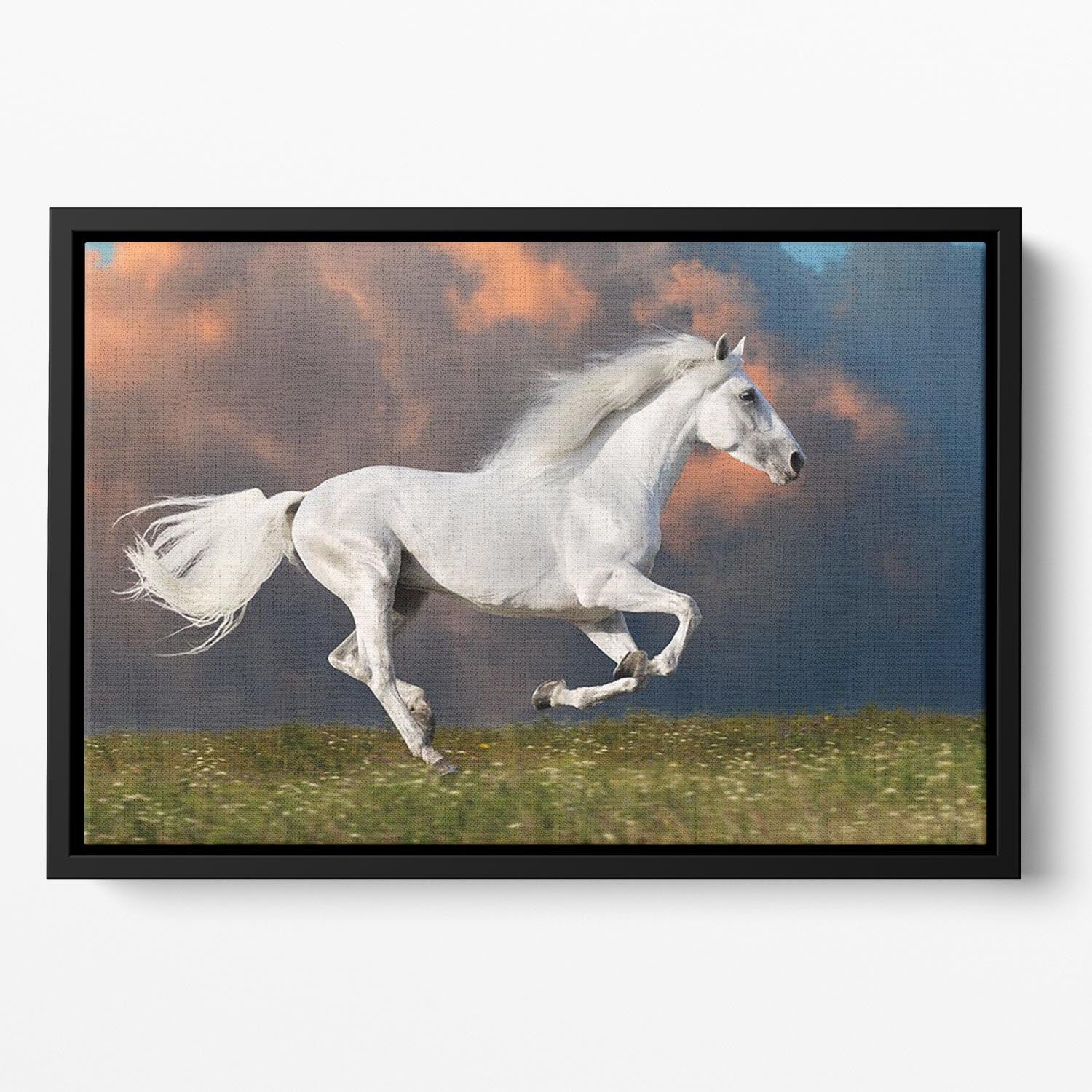 White horse runs gallop on the dark sky Floating Framed Canvas - Canvas Art Rocks - 2