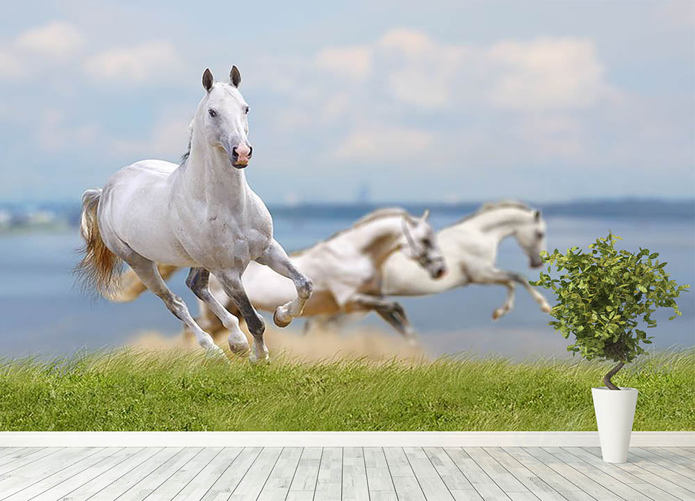 White Horse Running Stock Photos and Images - 123RF