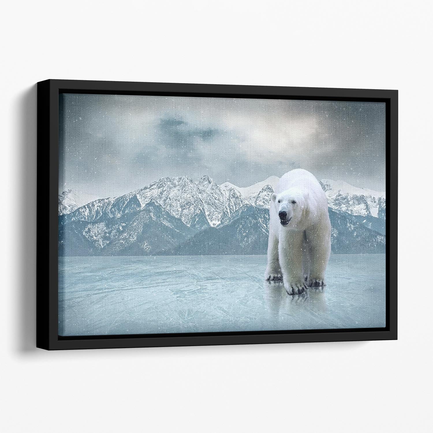 White polar bear on the ice Floating Framed Canvas - Canvas Art Rocks - 1
