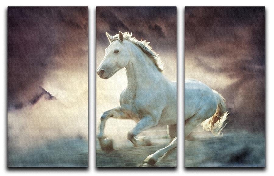 White running horse 3 Split Panel Canvas Print - Canvas Art Rocks - 1