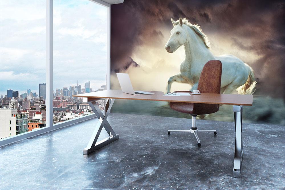 White running horse Wall Mural Wallpaper - Canvas Art Rocks - 3