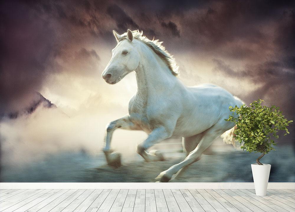 White running horse Wall Mural Wallpaper Canvas Art Rocks