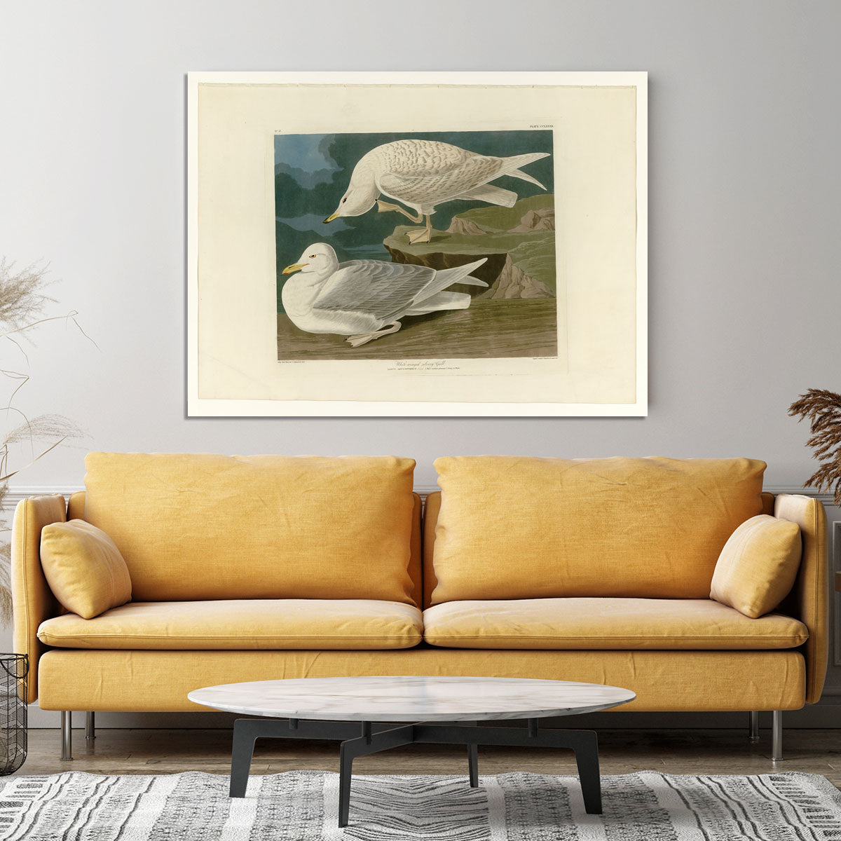 White winged silvery Gull by Audubon Canvas Print or Poster - Canvas Art Rocks - 4