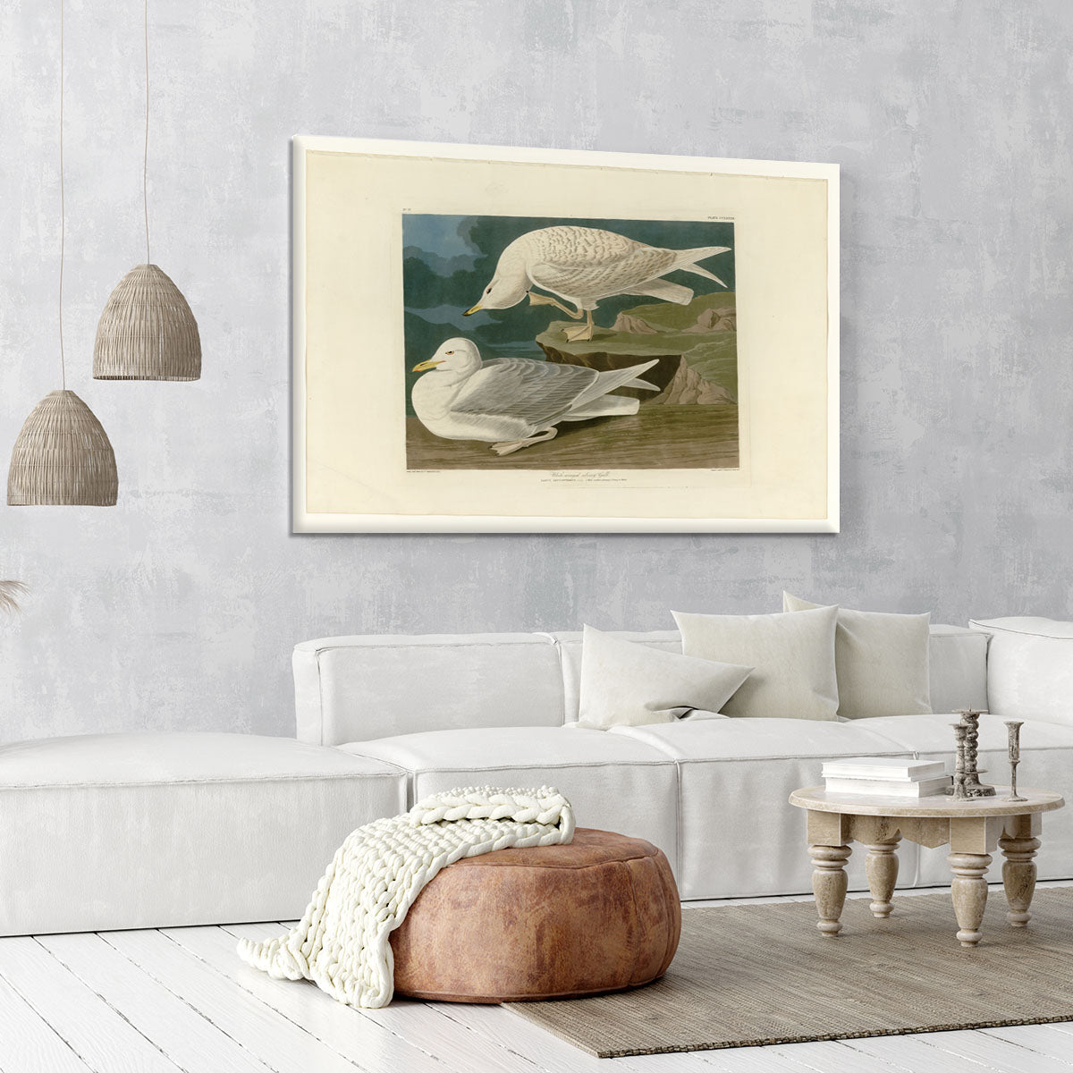 White winged silvery Gull by Audubon Canvas Print or Poster - Canvas Art Rocks - 6