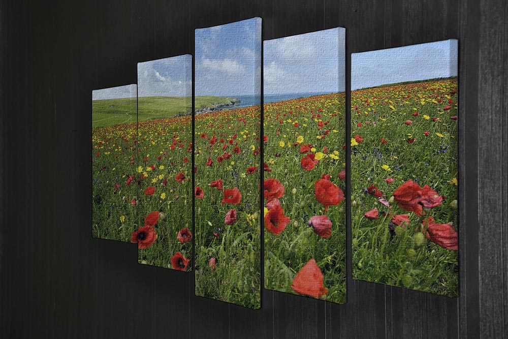 Wild Flower Meadow 5 Split Panel Canvas - Canvas Art Rocks - 2