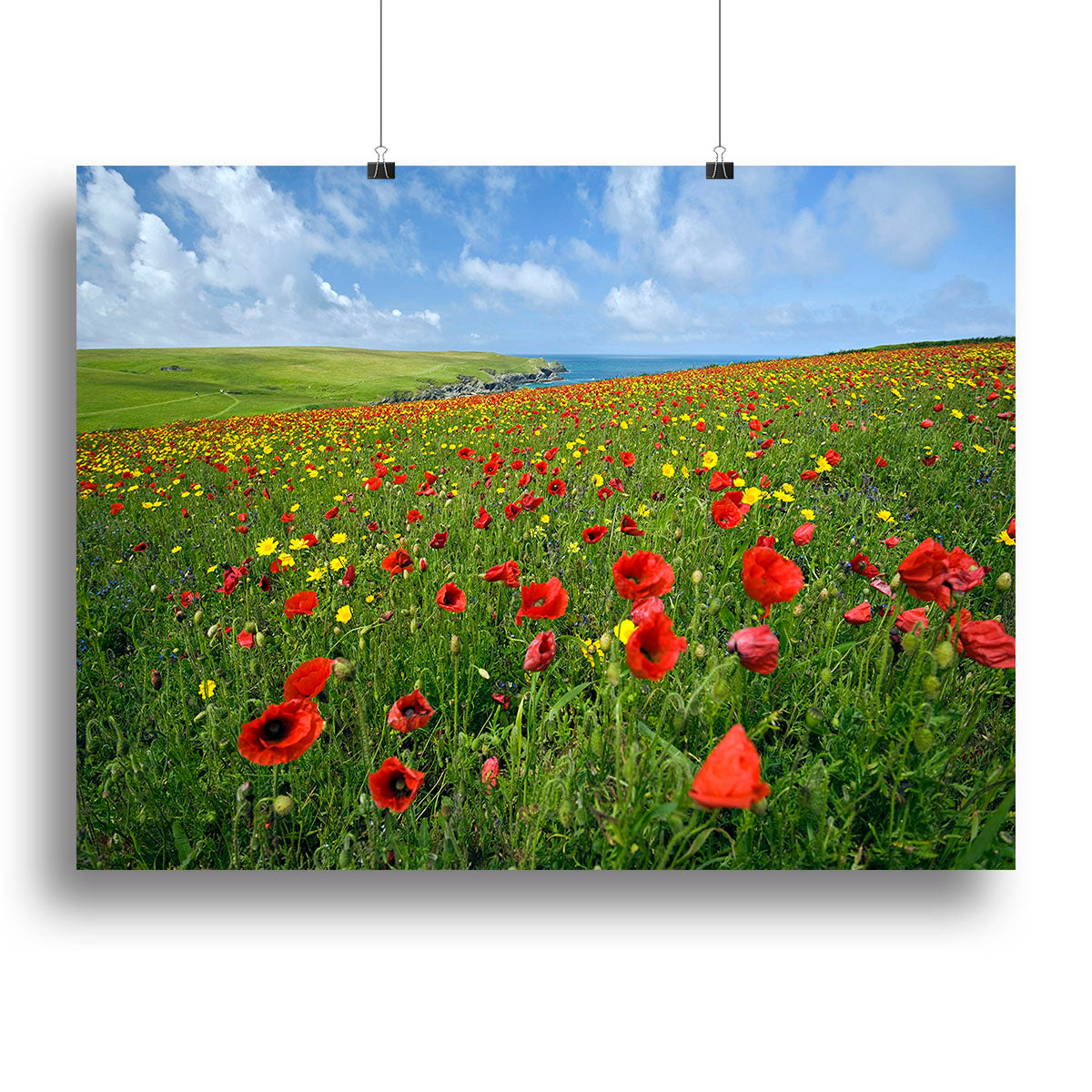 Wild Flower Meadow Canvas Print or Poster - Canvas Art Rocks - 2