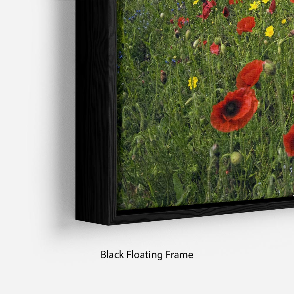 Wild Flower Meadow Floating Frame Canvas - Canvas Art Rocks - 2