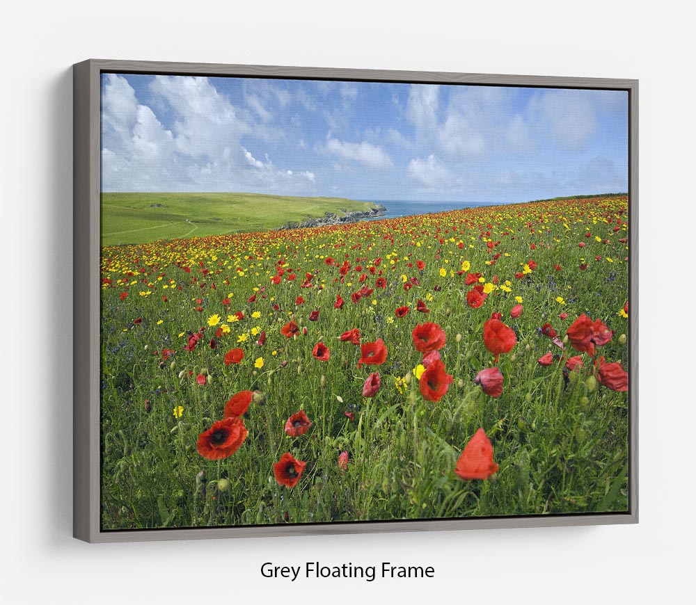 Wild Flower Meadow Floating Frame Canvas - Canvas Art Rocks - 3