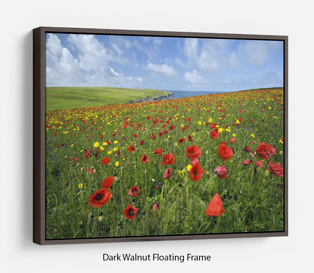 Wild Flower Meadow Floating Frame Canvas - Canvas Art Rocks - 5