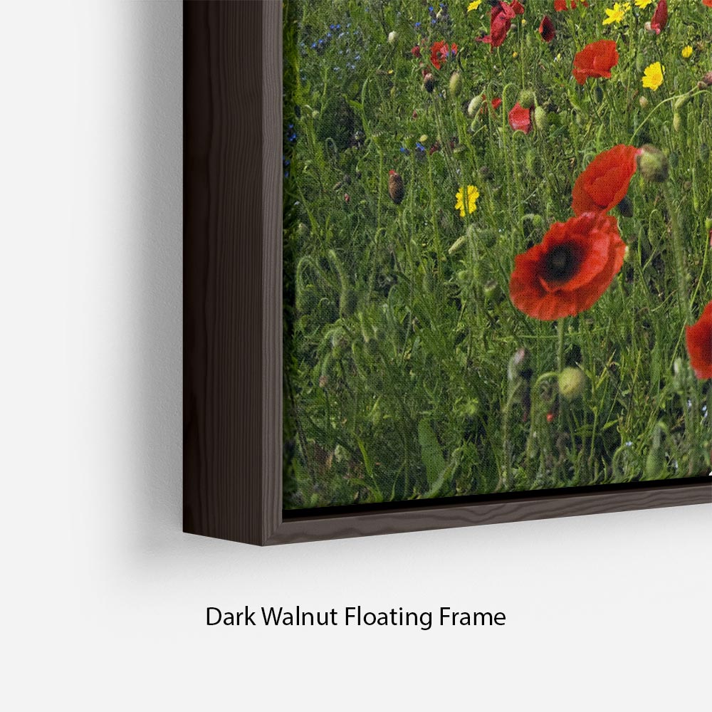 Wild Flower Meadow Floating Frame Canvas - Canvas Art Rocks - 6