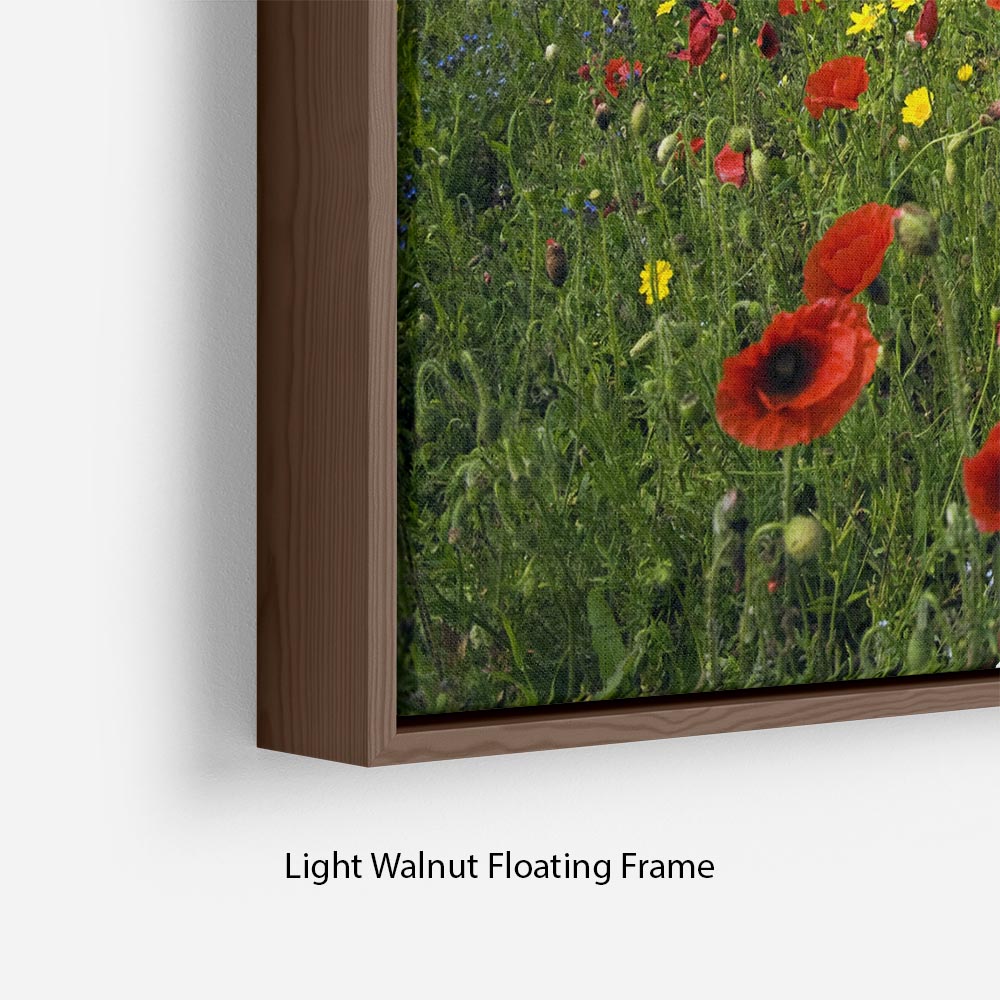 Wild Flower Meadow Floating Frame Canvas - Canvas Art Rocks - 8