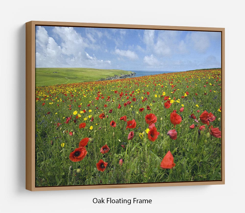 Wild Flower Meadow Floating Frame Canvas - Canvas Art Rocks - 9