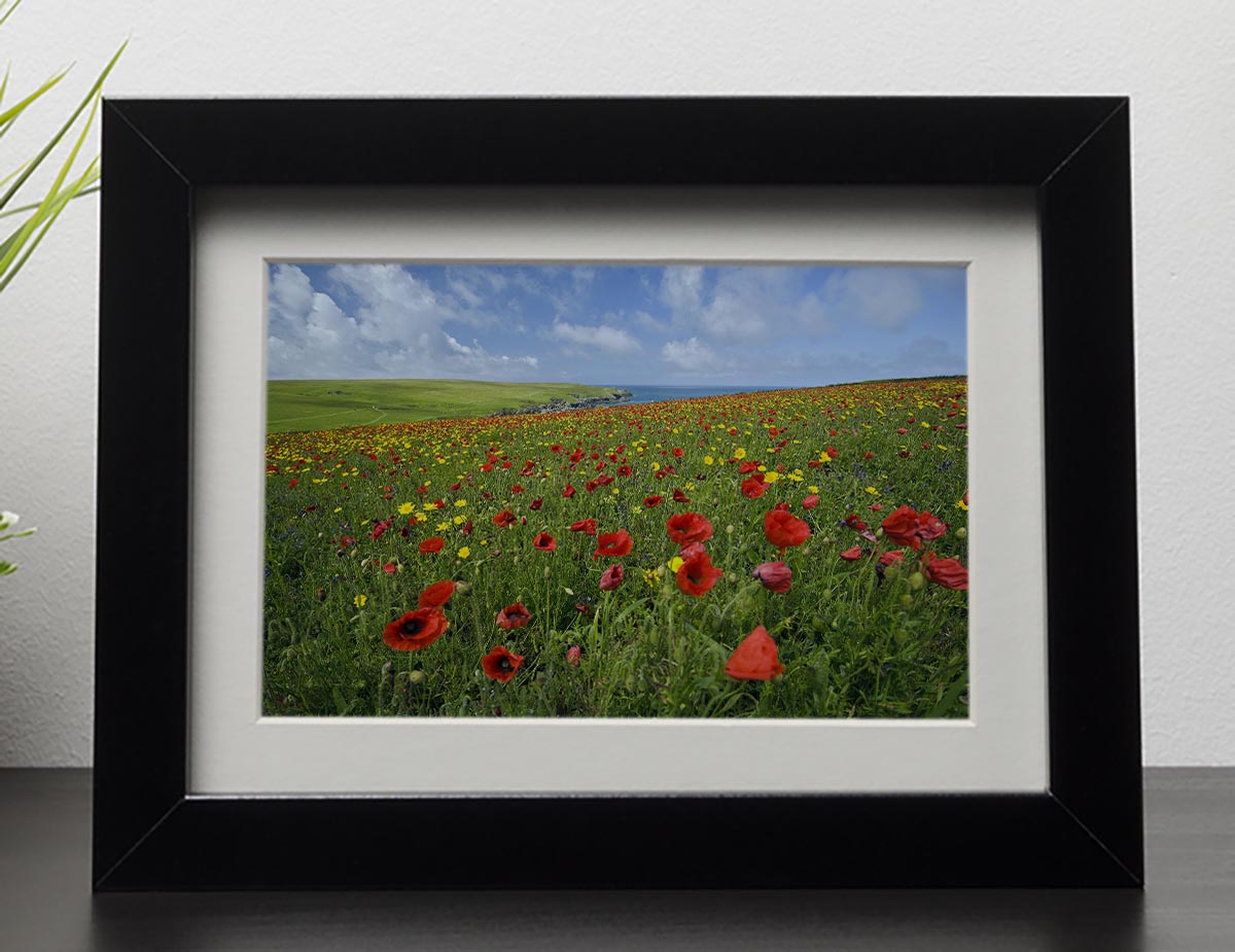 Wild Flower Meadow Framed Print - Canvas Art Rocks - 1