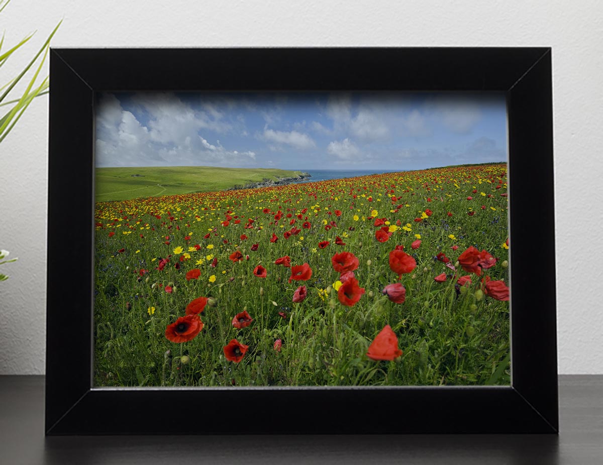 Wild Flower Meadow Framed Print - Canvas Art Rocks - 2