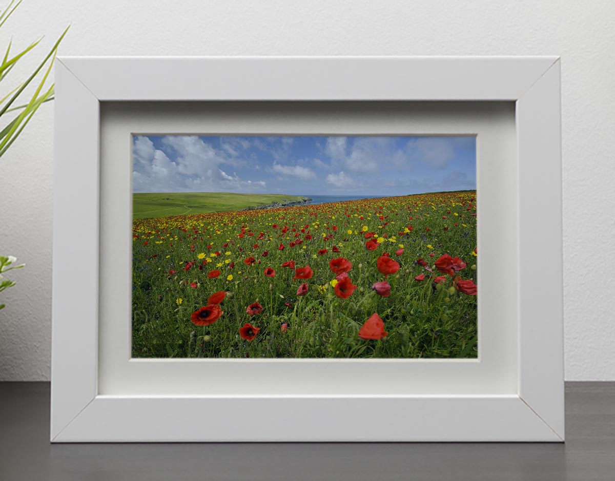 Wild Flower Meadow Framed Print - Canvas Art Rocks - 3