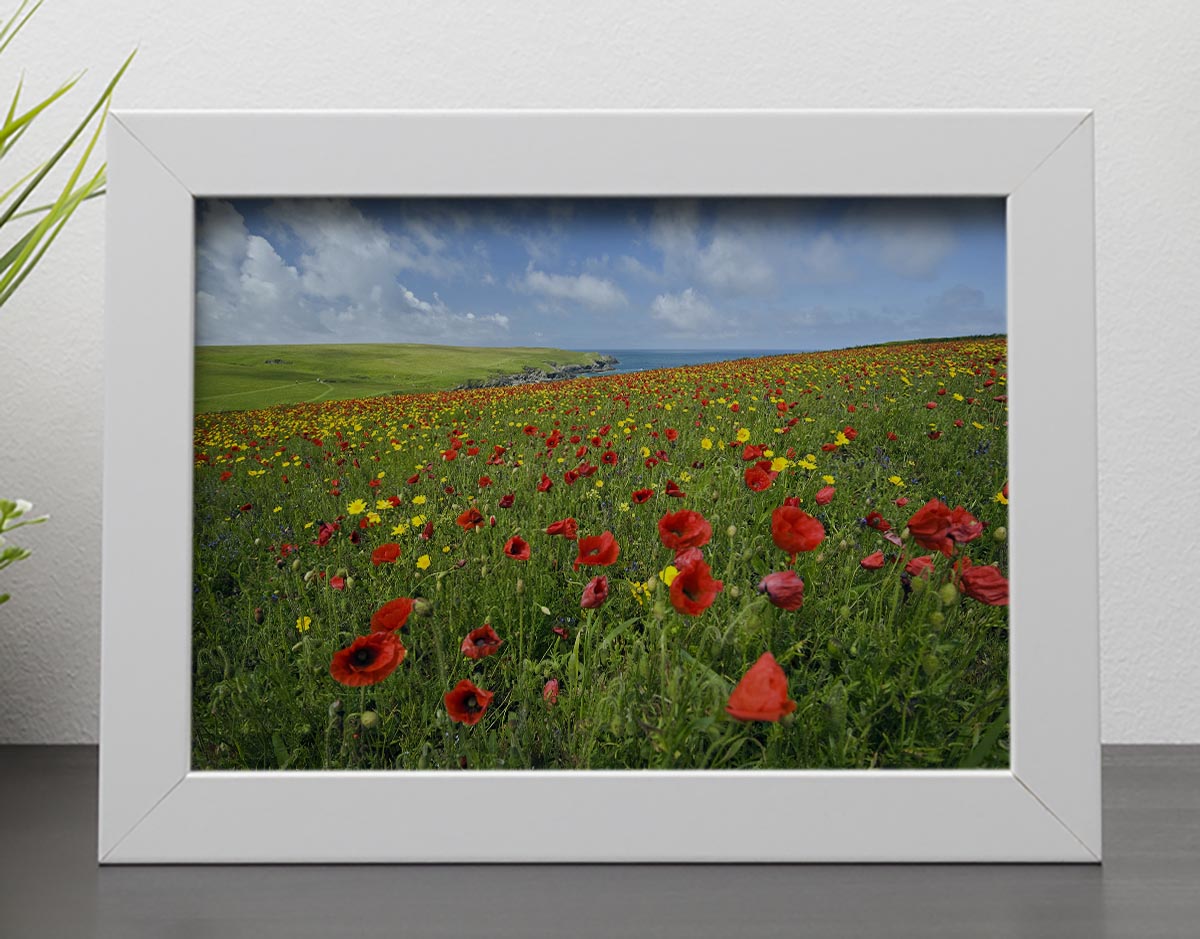 Wild Flower Meadow Framed Print - Canvas Art Rocks - 4