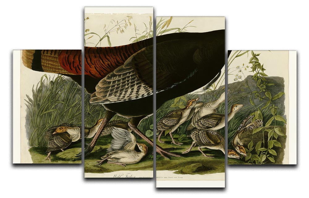Wild Turkey 2 by Audubon 4 Split Panel Canvas - Canvas Art Rocks - 1