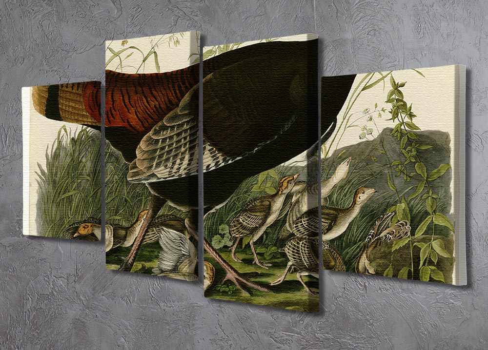Wild Turkey 2 by Audubon 4 Split Panel Canvas - Canvas Art Rocks - 2