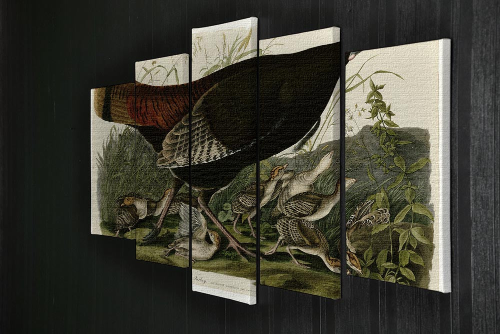 Wild Turkey 2 by Audubon 5 Split Panel Canvas - Canvas Art Rocks - 2