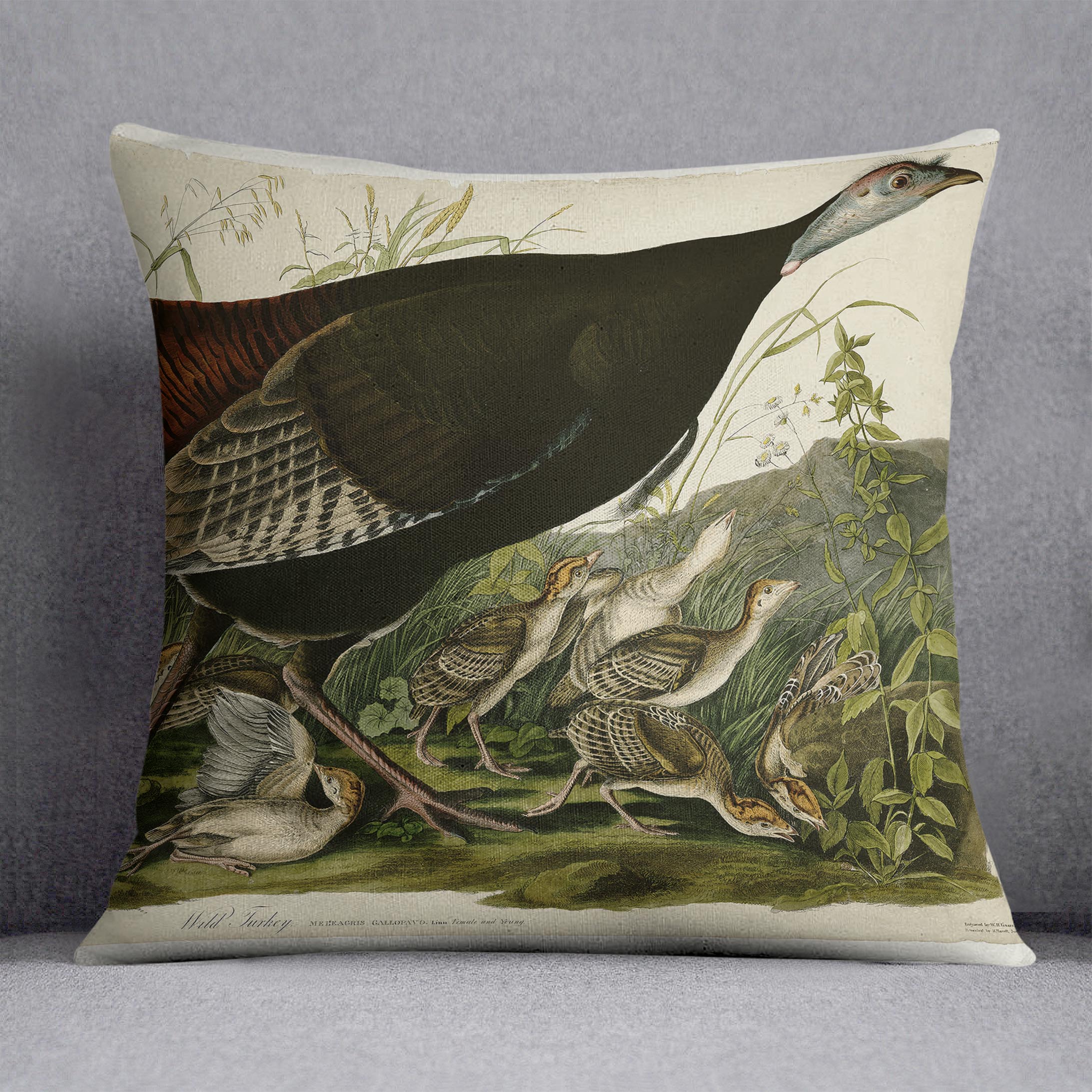 Wild Turkey 2 by Audubon Cushion