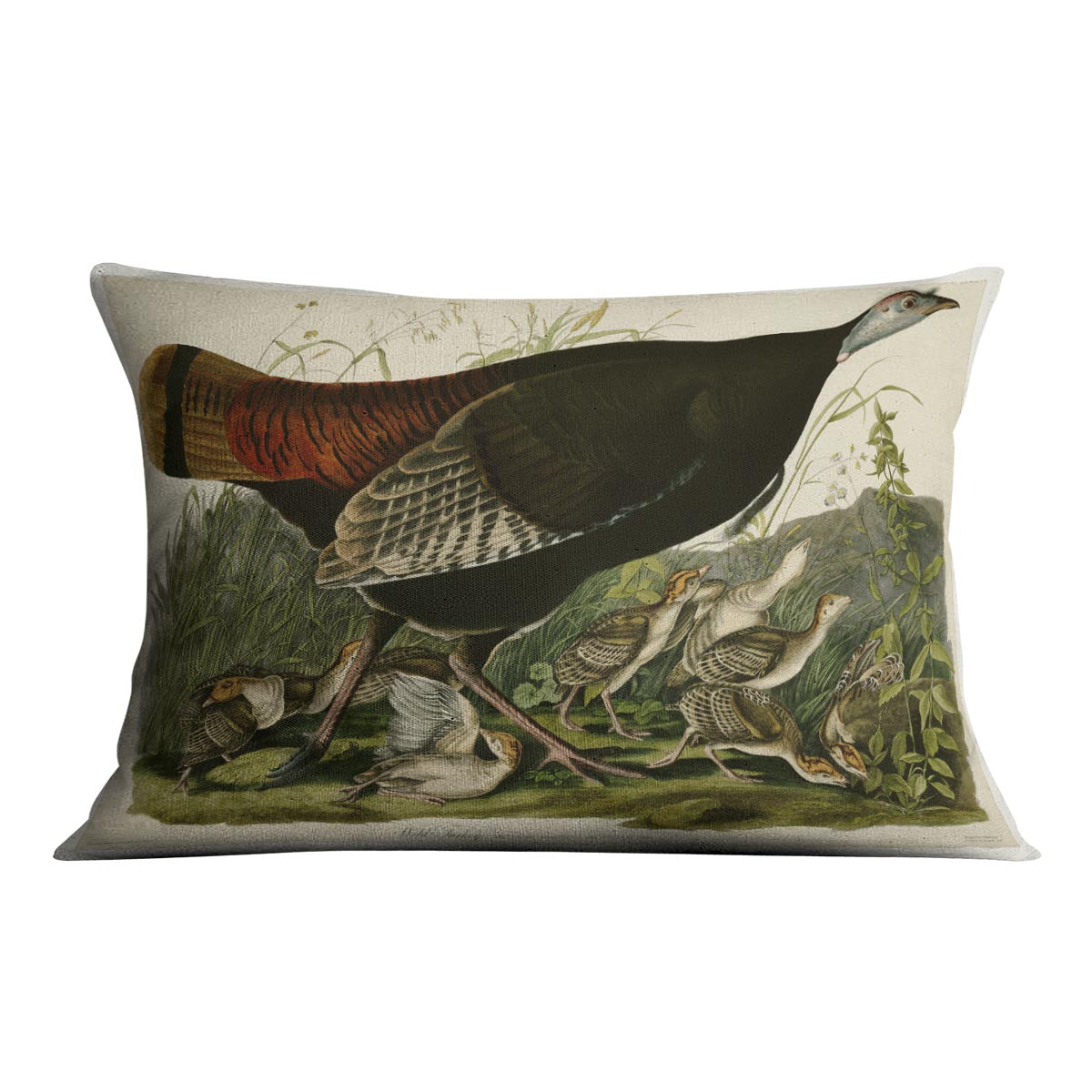 Wild Turkey 2 by Audubon Cushion
