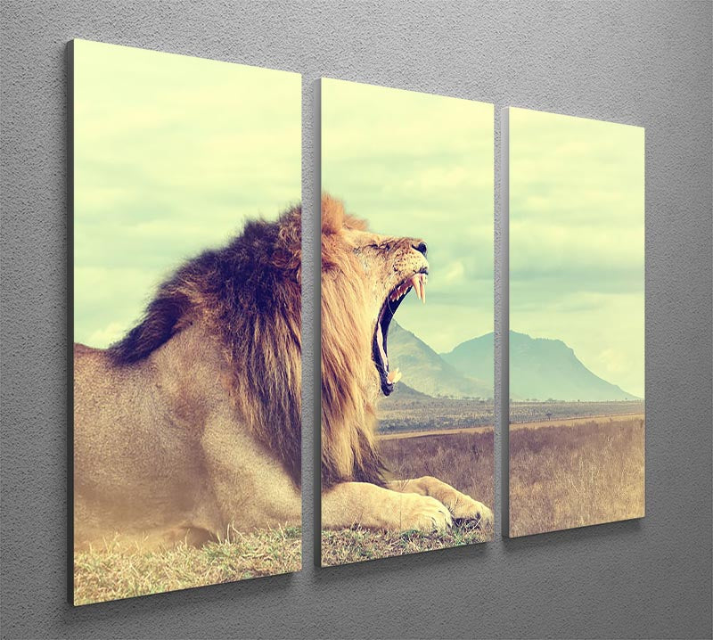 Wild african lion 3 Split Panel Canvas Print - Canvas Art Rocks - 2