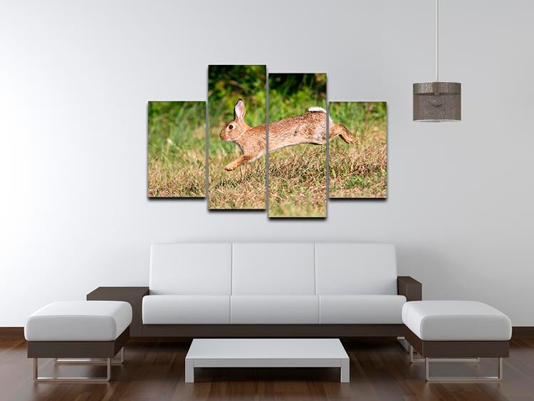 Wild cute rabbit is jumping on meadow 4 Split Panel Canvas - Canvas Art Rocks - 3