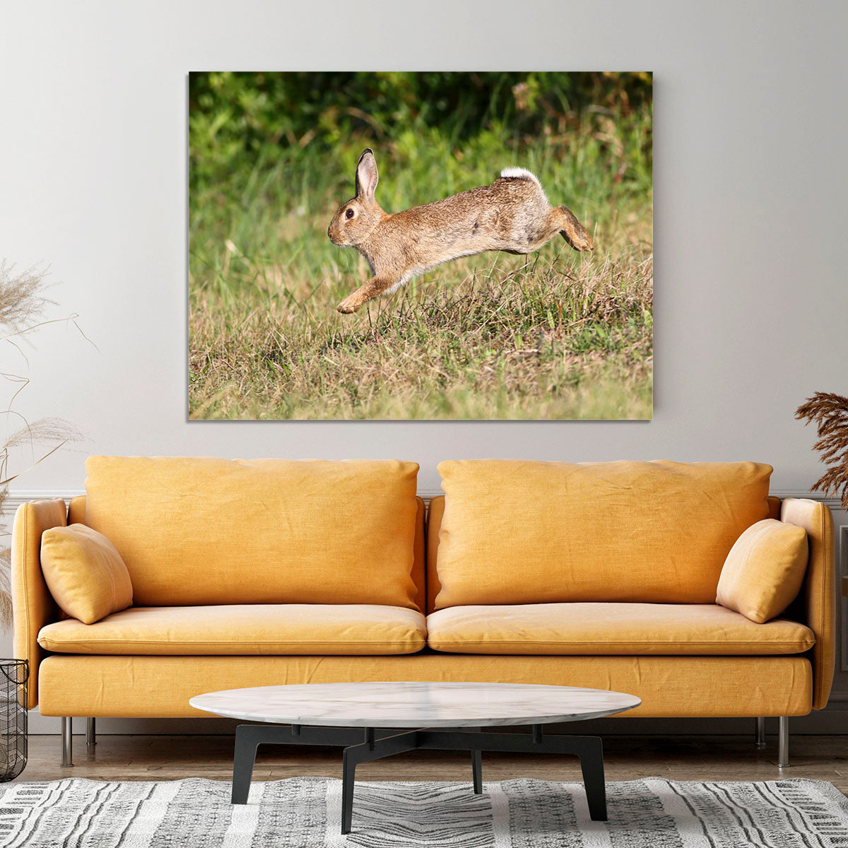 Wild cute rabbit is jumping on meadow Canvas Print or Poster - Canvas Art Rocks - 4
