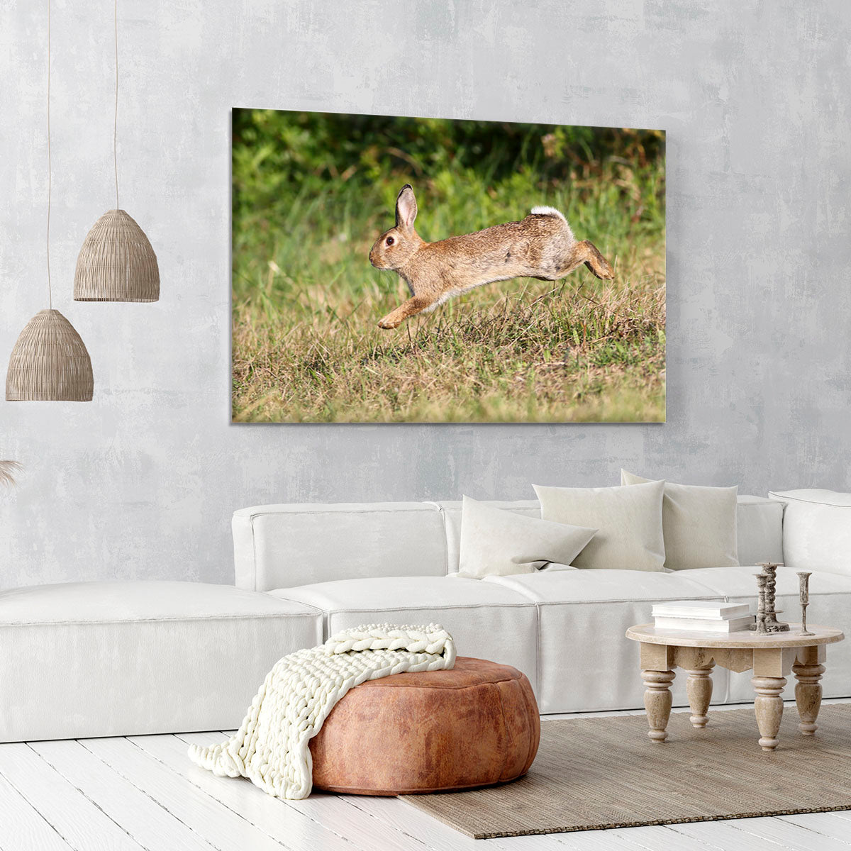 Wild cute rabbit is jumping on meadow Canvas Print or Poster - Canvas Art Rocks - 6