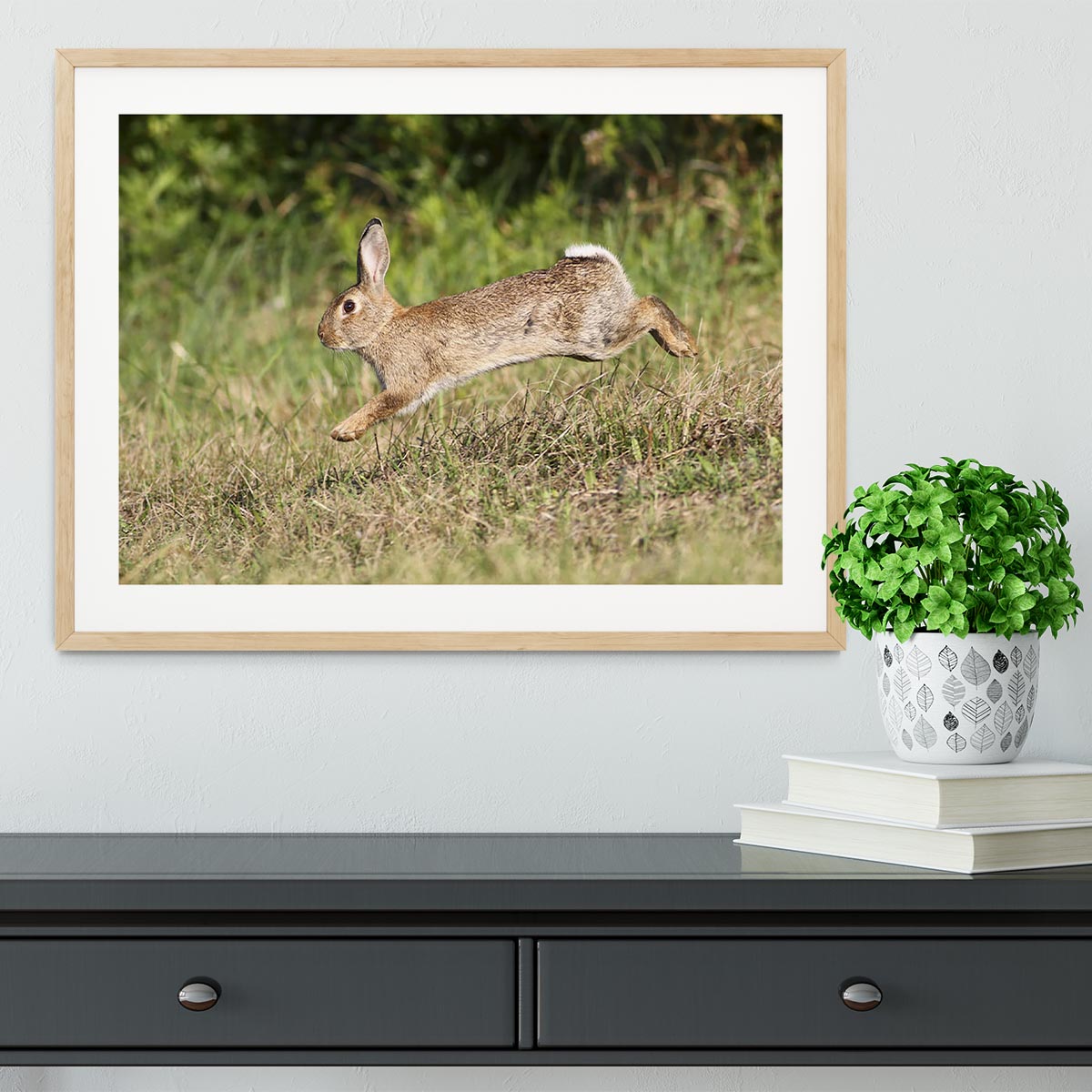 Wild cute rabbit is jumping on meadow Framed Print - Canvas Art Rocks - 3