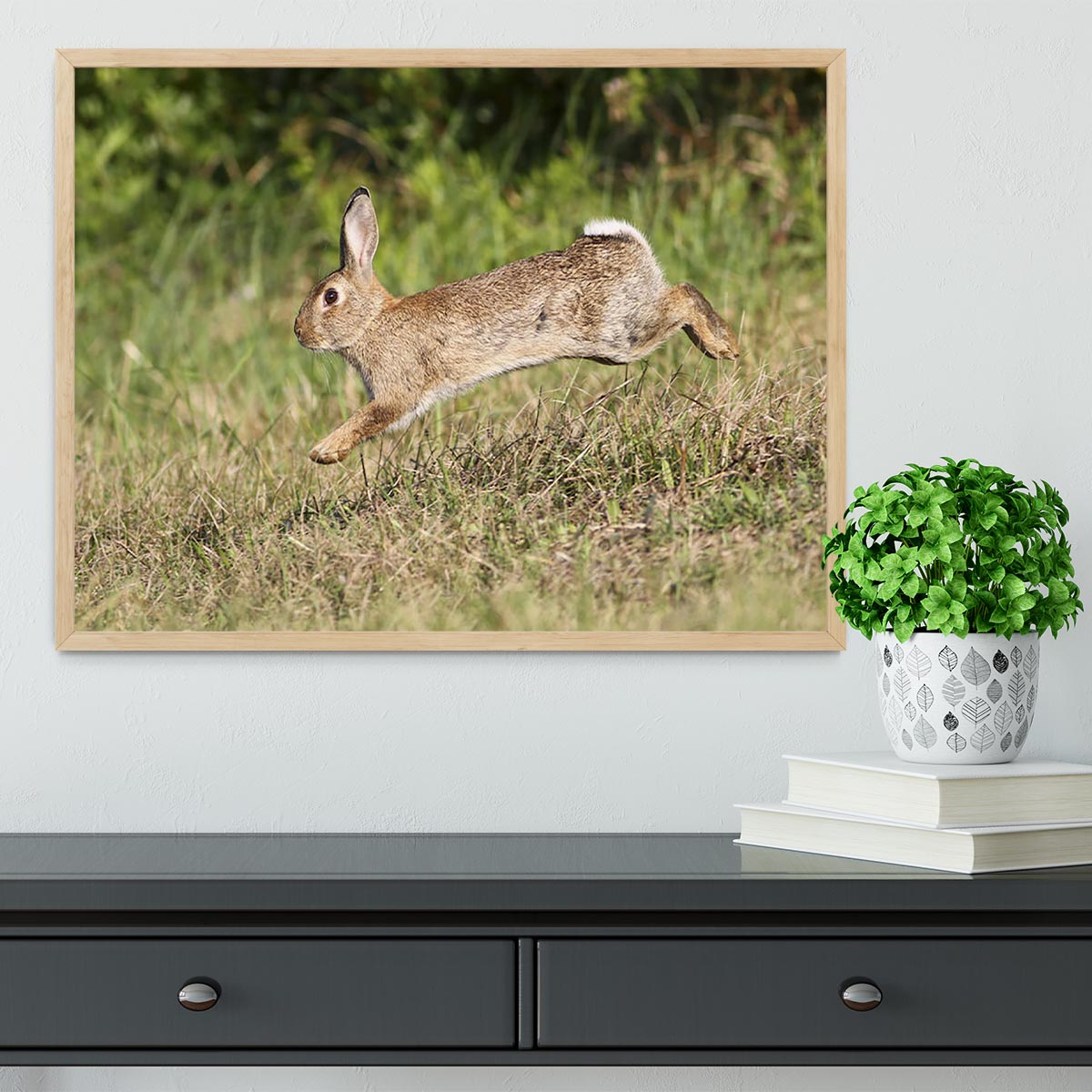 Wild cute rabbit is jumping on meadow Framed Print - Canvas Art Rocks - 4