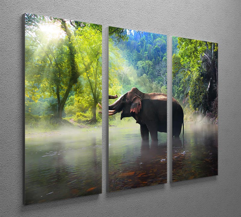 Wild elephant in the beautiful forest 3 Split Panel Canvas Print - Canvas Art Rocks - 2