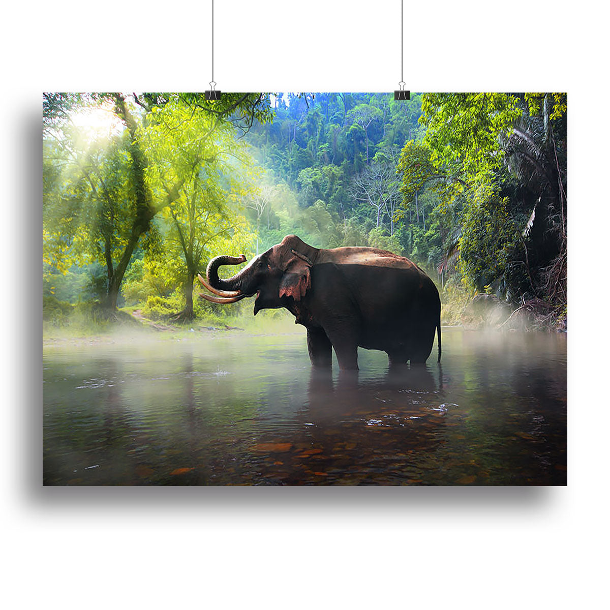 Wild elephant in the beautiful forest Canvas Print or Poster - Canvas Art Rocks - 2
