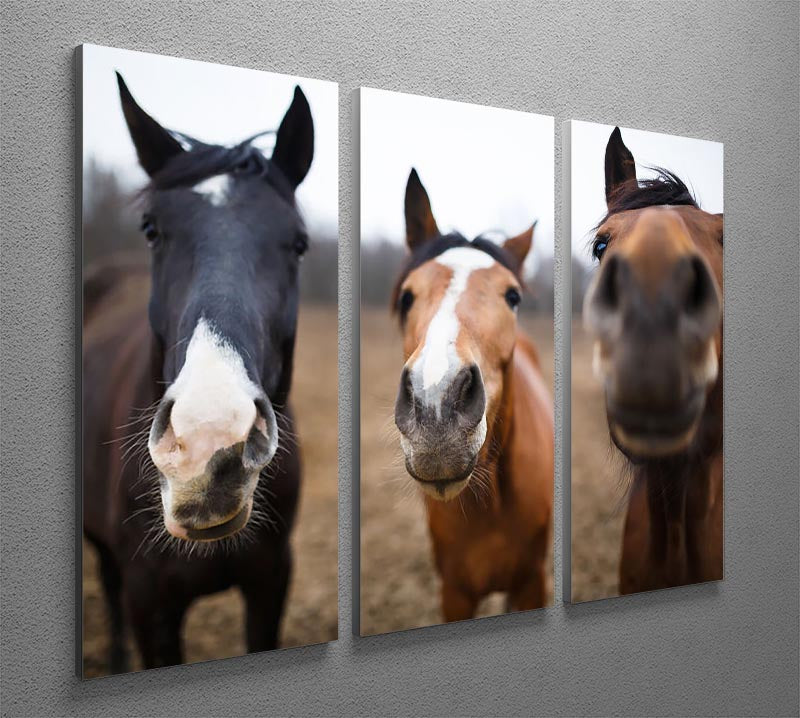 Wild horses on the meadow at spring time 3 Split Panel Canvas Print - Canvas Art Rocks - 2