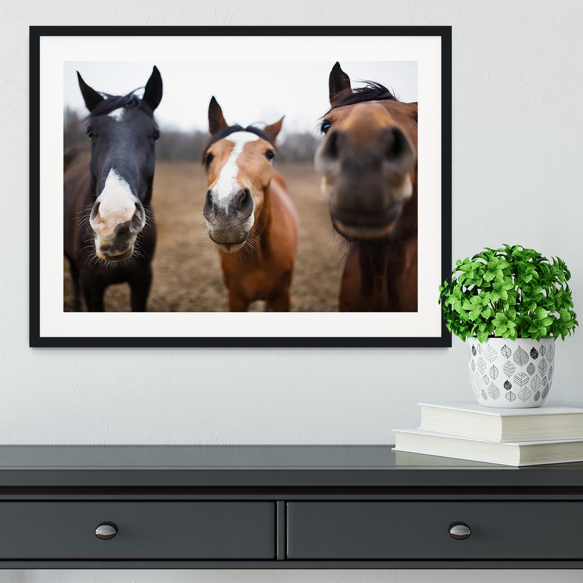 Wild horses on the meadow at spring time Framed Print - Canvas Art Rocks - 1